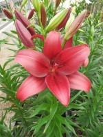 [5080 Red Rock No02.JPG]